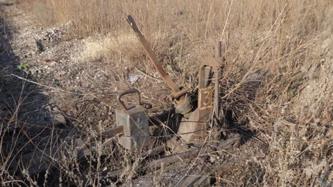 Train Track Switch In Forest, Rail Transportation Stock Footage 255577895