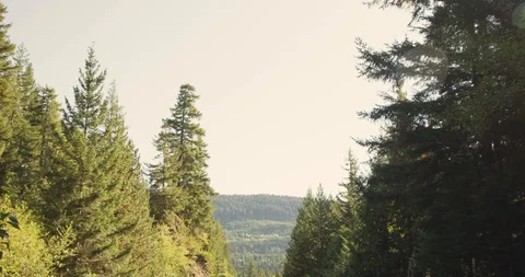 Train Tracks 1 Stock Footage 126186189