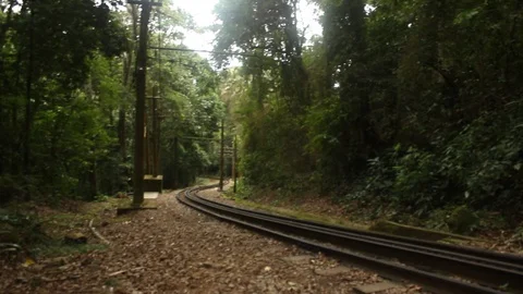 Train tracks - Amazon forest Video stock 114667750