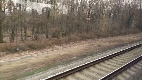 Train tracks and forest seen from inside a passenger train Stock Footage 125341193