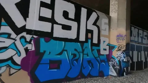 Train Tracks and Graffiti 3 Video stock 152547321