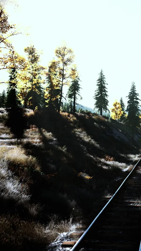 Train tracks beside trees under bright sunlight in the afternoon Stock Footage 341988045