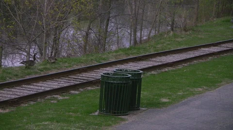 Train tracks &amp; Canada Geese Stock Footage 401446