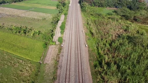 Train tracks that cross the rice fields Stock Footage 138452844