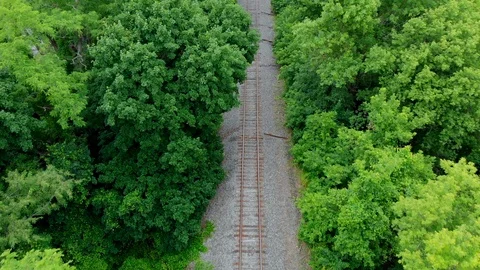 Train Tracks Empty Look Down Above Trees Stock Footage 96224810