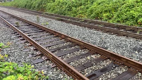 Train tracks empty never ending paths Stock Footage 282549643