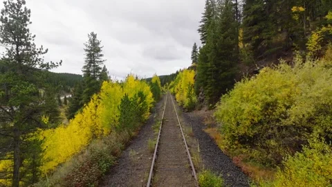Train Tracks Flyover Fall Forest | Camp Hale Colorado Drone Vídeos de archivo 331544445