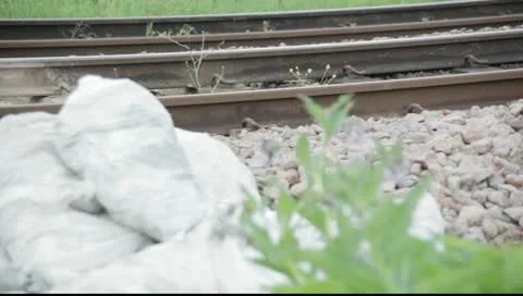 Train on tracks Stock Footage 10830805