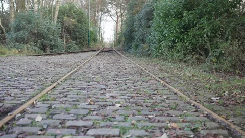 Train Tracks Stock Footage 256160916
