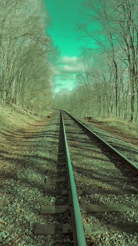 Train tracks Stock Footage 279523075