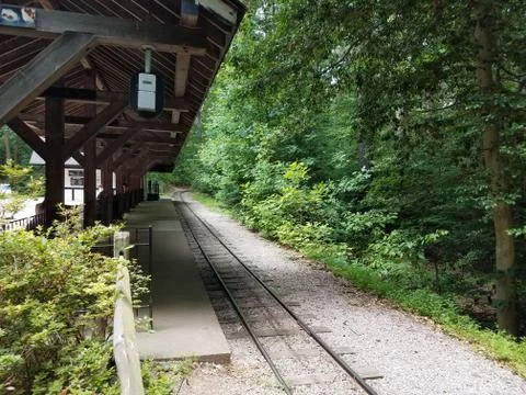 Train tracks in the forest Stock Photos