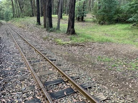 Train Tracks in Forest Foto stock