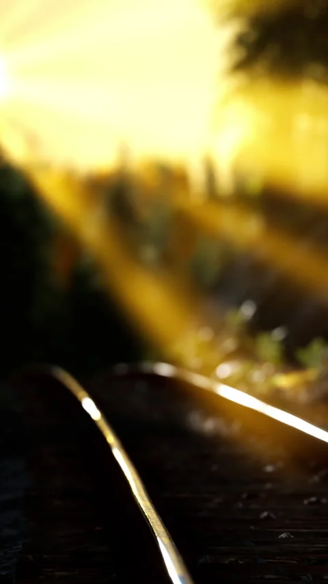 Train tracks in a forest at sunset with sun rays shining Stock Footage 346752994