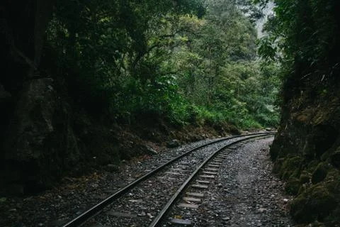 Train tracks leading through forest Foto stock