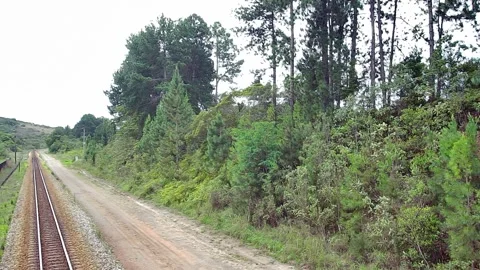 Train tracks in the lush forest of Catas Altas, Minas Gerais, Brazil. Stock Footage 314401606