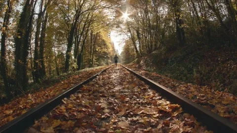 Train tracks in the middle of the forest 動画素材 285814530