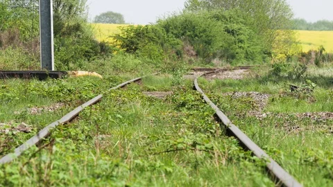 Train tracks overgrown with vegetation Stock Footage 94850418