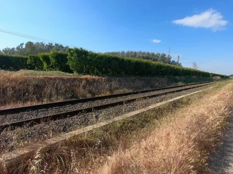 Train tracks passing by fruit trees on a sunny day. Видео 108214547