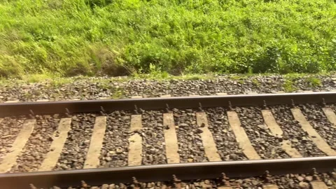 Train tracks passing through green landscape Stock Footage 313433615
