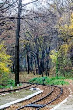 Train tracks 스톡 사진