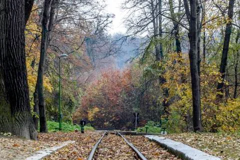 Train tracks Stock-Fotos