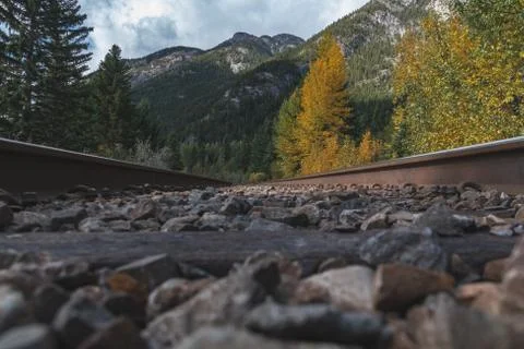 Train tracks Stock Photos