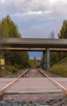 Train tracks 스톡 사진