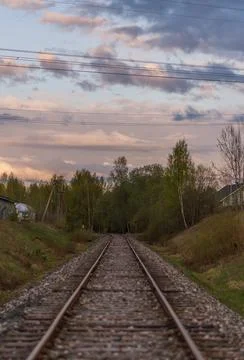 Train tracks 스톡 사진