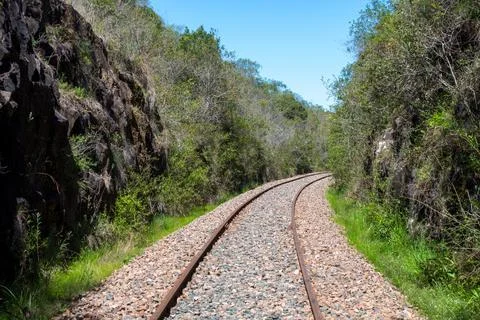 A train tracks run through a forest with trees on either side Stock Photos