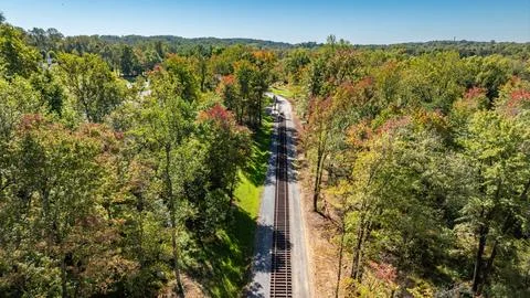 Train Tracks Running Through Green Trees in the Daytime Фото
