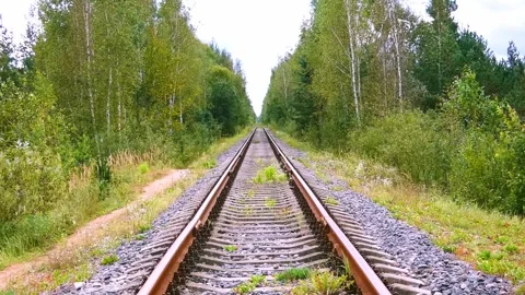 Train tracks stretch into the distance surrounded by trees and grass near a fore Stock Footage 323901416