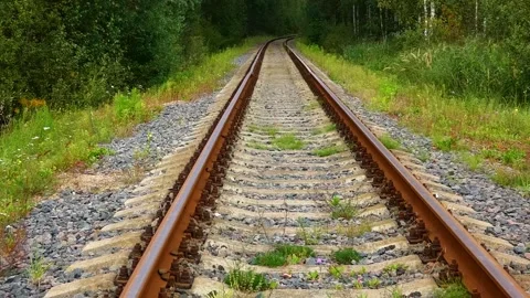 Train tracks stretch into the forest, showing the natural landscape and curve of Stock Footage 323891162