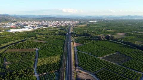 Train tracks surrounded by cultivated fields Stock Footage 258282728