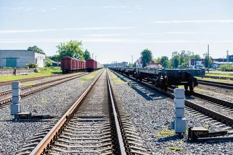 Train Tracks Through Forest in sunny day low angle view Stock Photos