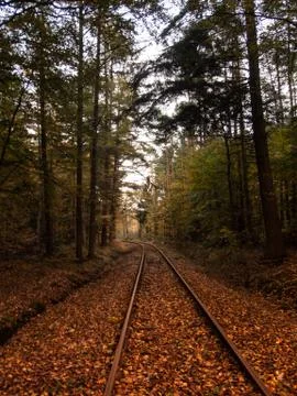 Train tracks through a German Forest in Autumn Stock Photos