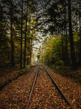 Train tracks through a German Forest in Autumn 写真素材