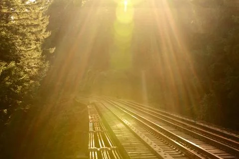 Train Tracks Through A Mountain Forest Stock Photos