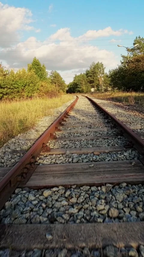 Train Tracks Through an Overgrown Field Stock Footage 289049615