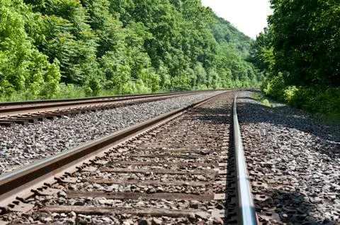 Train tracks through the woods Stockfoto's