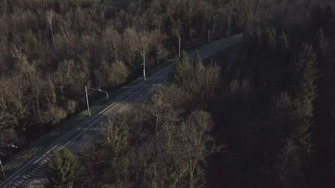 Train tracks, Tree, Forest, Sunrise, Morning, 4K Stock Footage 90526982