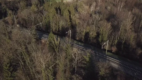 Train tracks, Tree, Forest, Sunrise, Morning, 4K 스톡 동영상 90527179