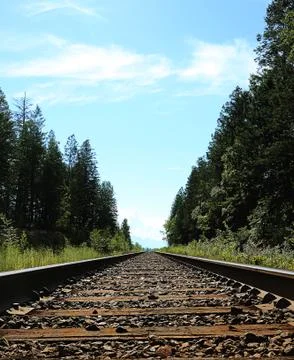 Train tracks with trees on both sides Stock Photos