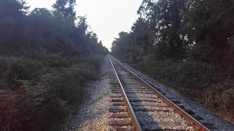 Train Tracks &amp; Trees Stock Photos