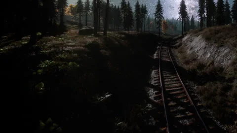 Train tracks winding through a forest under night sky with stars Stock Footage 339489796