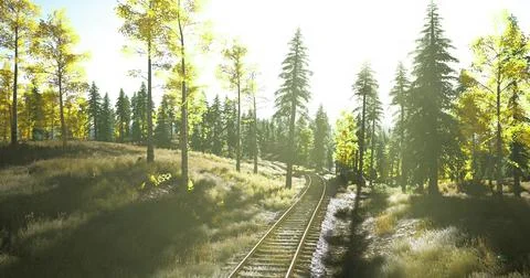 Train tracks winding through a sunlit forest in autumn Stock Illustration