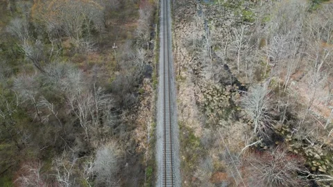 Train Tracks in the Woods 4k Stock Footage 240314226