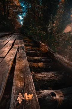 A train on a train track with trees in the background Stock Photos