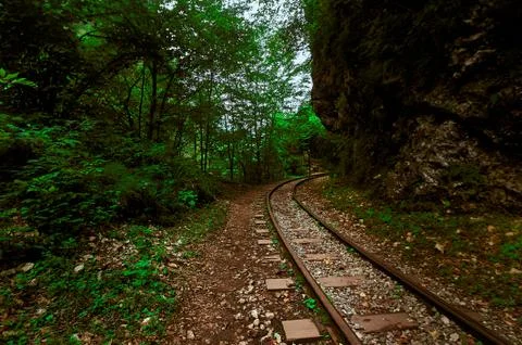 A train on a train track with trees in the background Stock Photos