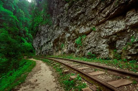 A train on a train track with trees in the background Stock Photos