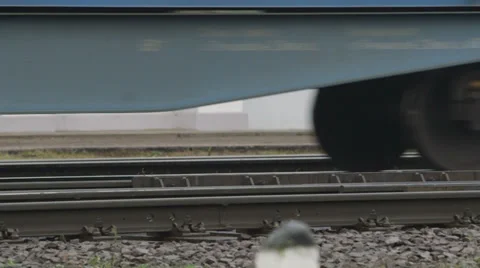 Train transportation moving Stock Footage 33326779